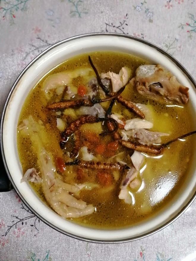 温州虫类炖汤菜肴（虫子做的汤）