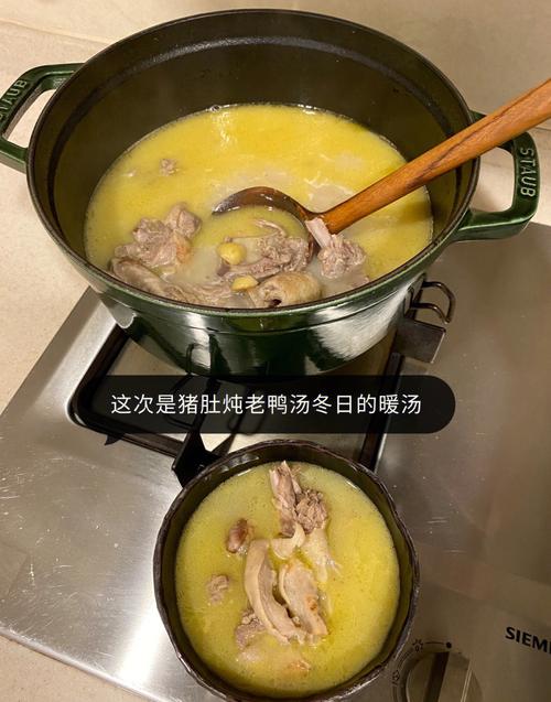 鸭子和猪肚炖汤的做法大全（鸭子猪肚汤有什么营养）