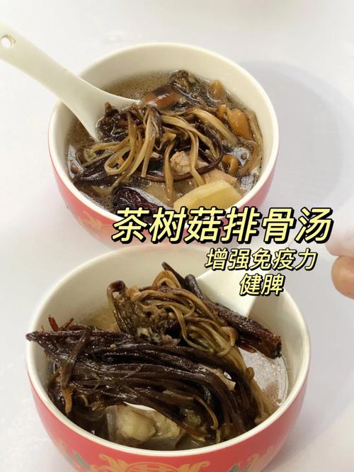干茶树菇炖汤的做法大全（干茶树菇炖什么汤好喝）
