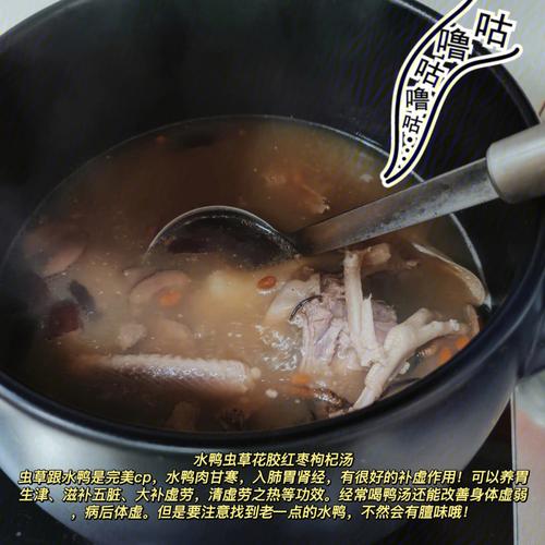 鸭肉炖汤放生姜的枸杞功效（鸭肉炖枸杞的作用）