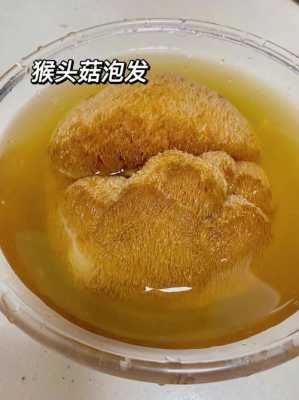 猴头菌可以直接炖汤吗（猴头菇可以用来煲汤吗）